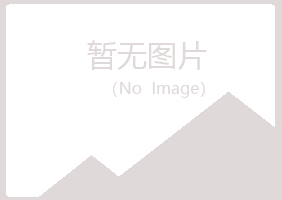 鹤壁山城残留建设有限公司